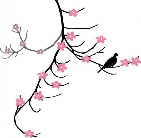 Cherry Blossom Branch and Dove